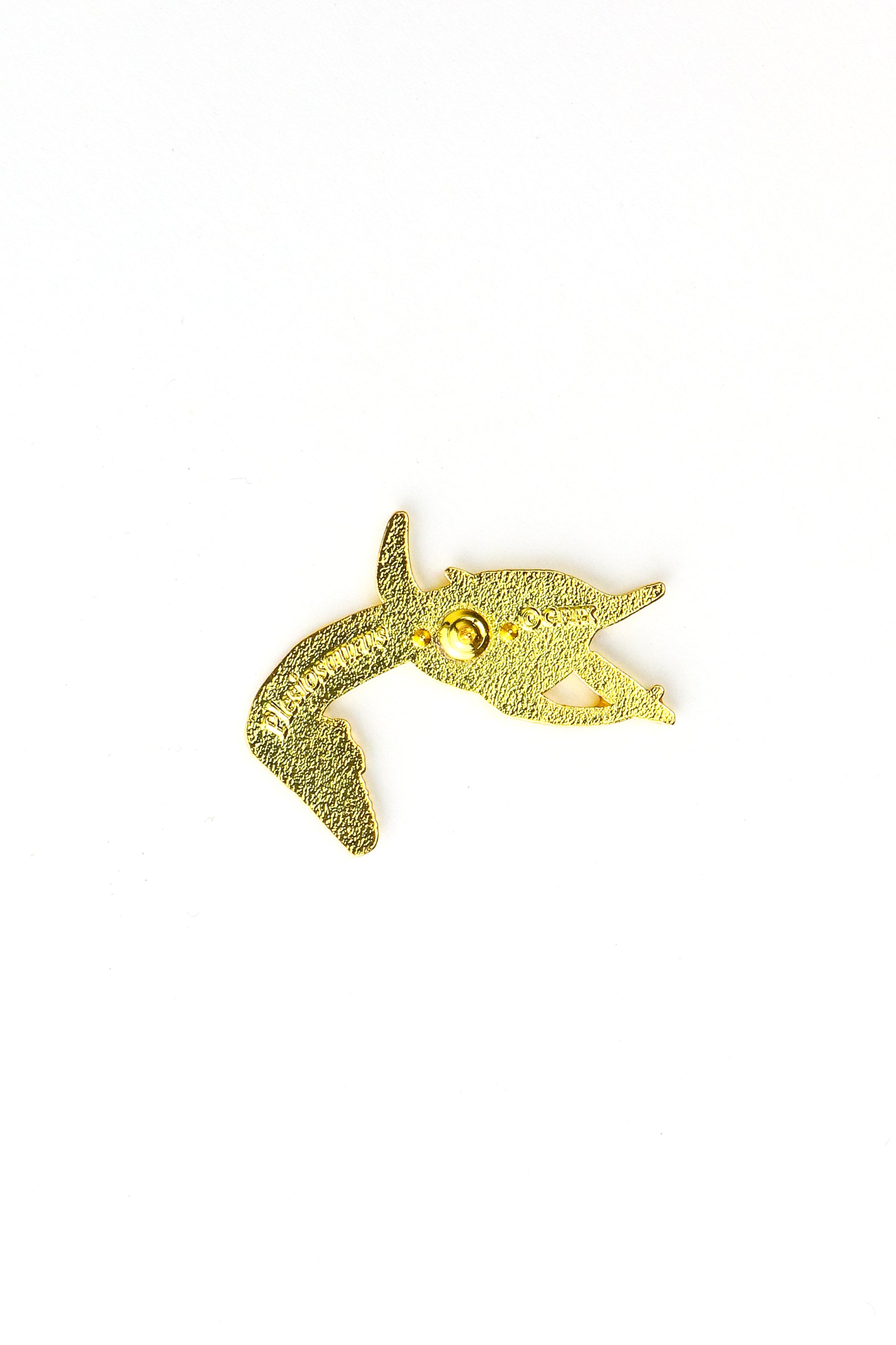 Plesiosaurus Enamel Pin (Plesiosaurus dolichodeirus) - Stemcell Science Shop