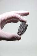 Black Kyanite Fan, Default Title at Stemcell Science Shop