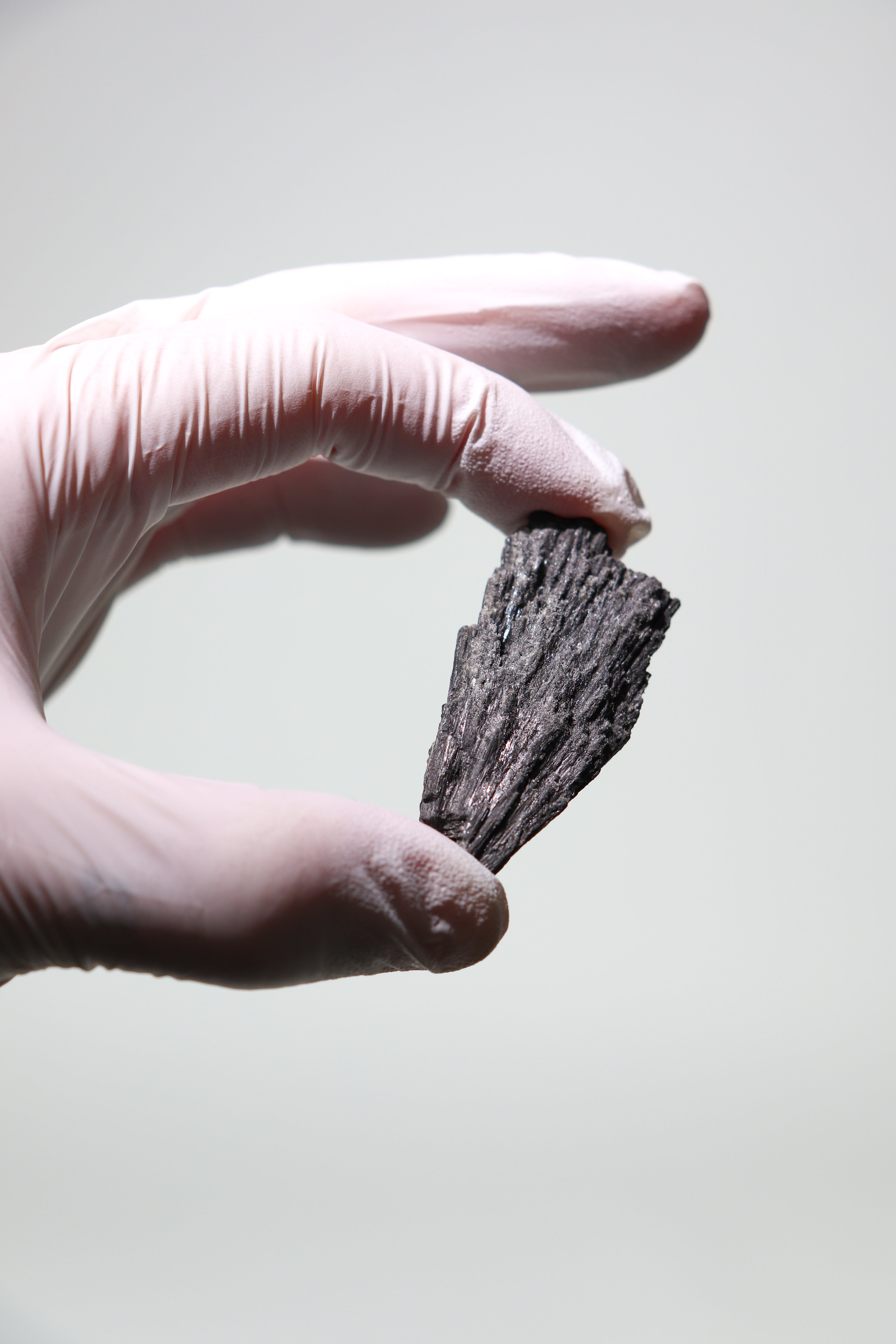 Black Kyanite Fan, Default Title at Stemcell Science Shop
