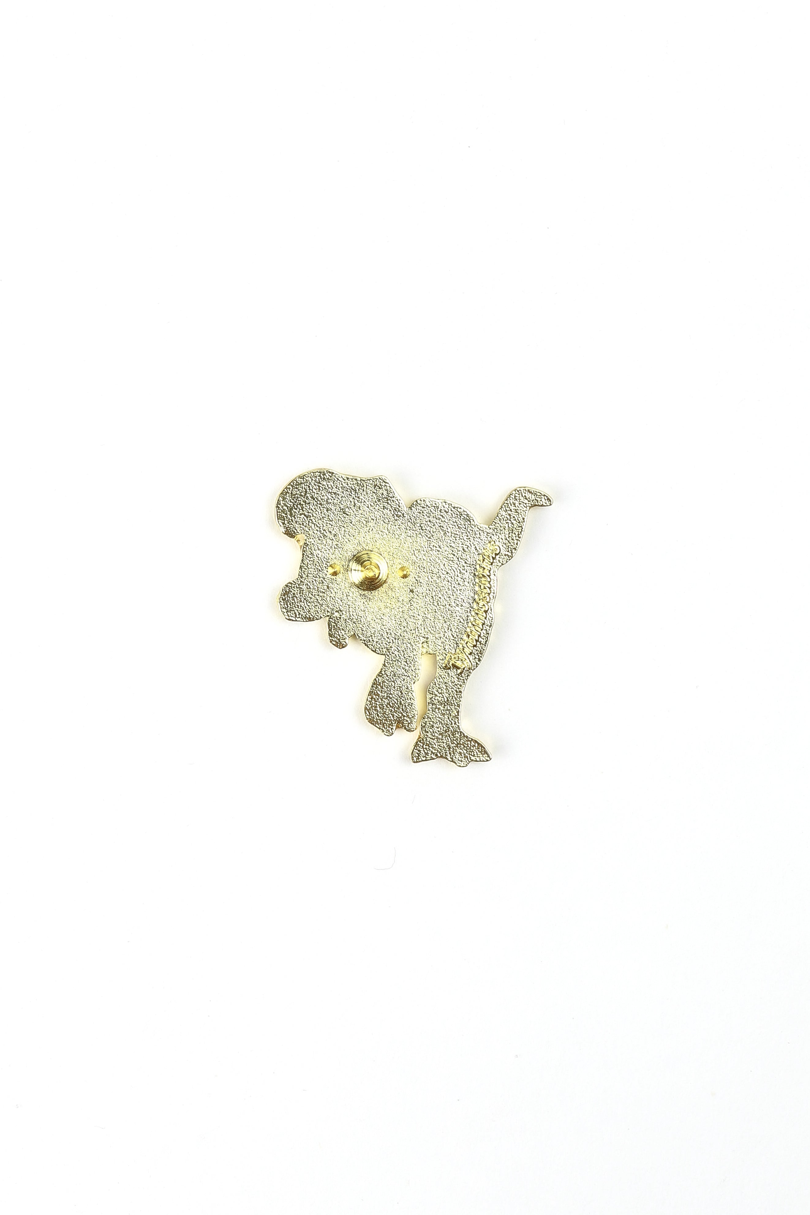 Tyrannosaurus Rex Enamel Pin (Tyrannosaurus rex)—New 2025, Default Title at Stemcell Science Shop