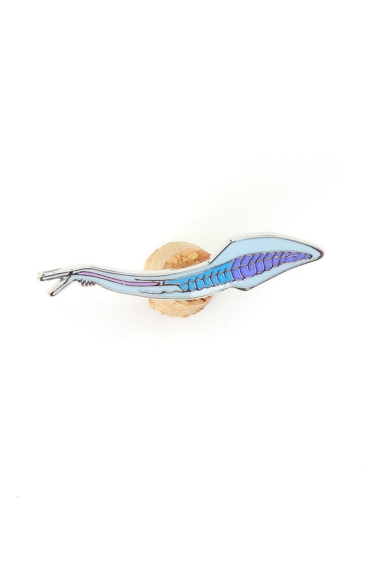 Toy snake with a blue body and brown head on a white background