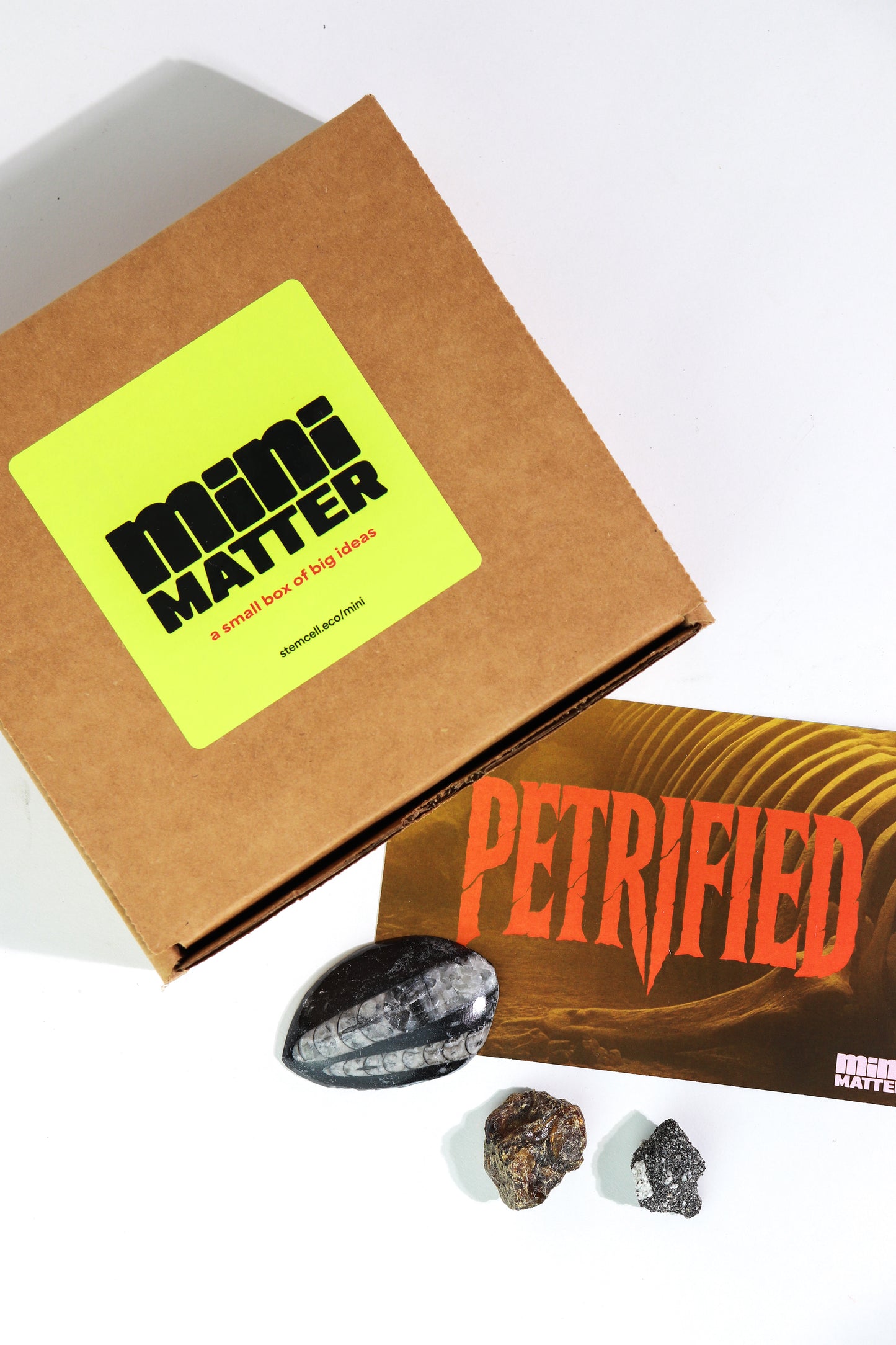 Mini Matter: Petrified