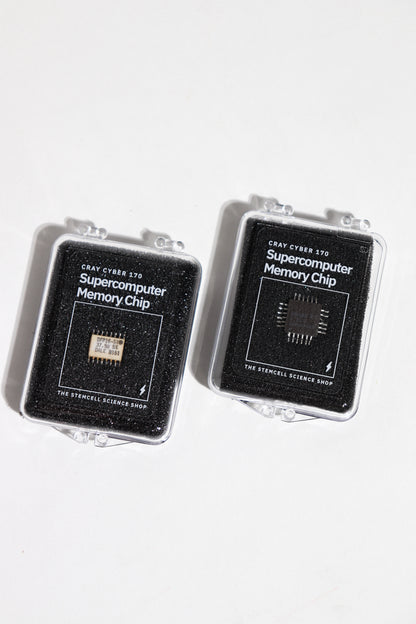 Supercomputer Memory Chip