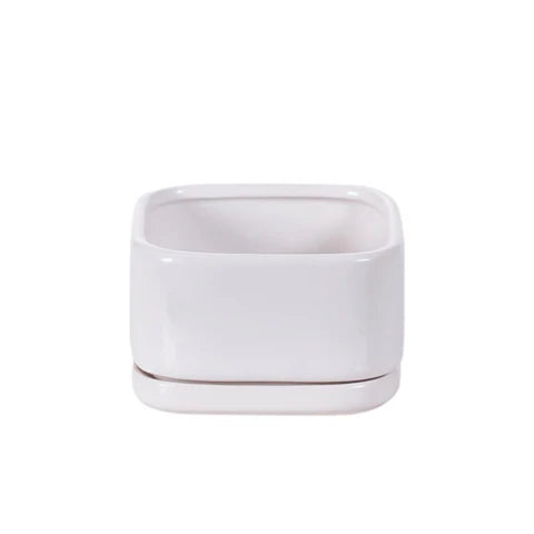 Square Ceramic Pot & Saucer