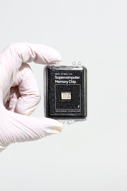 Supercomputer Memory Chip