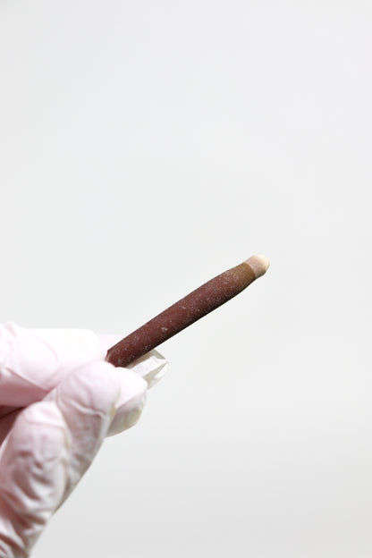 Sea Urchin Spines - 3-pack