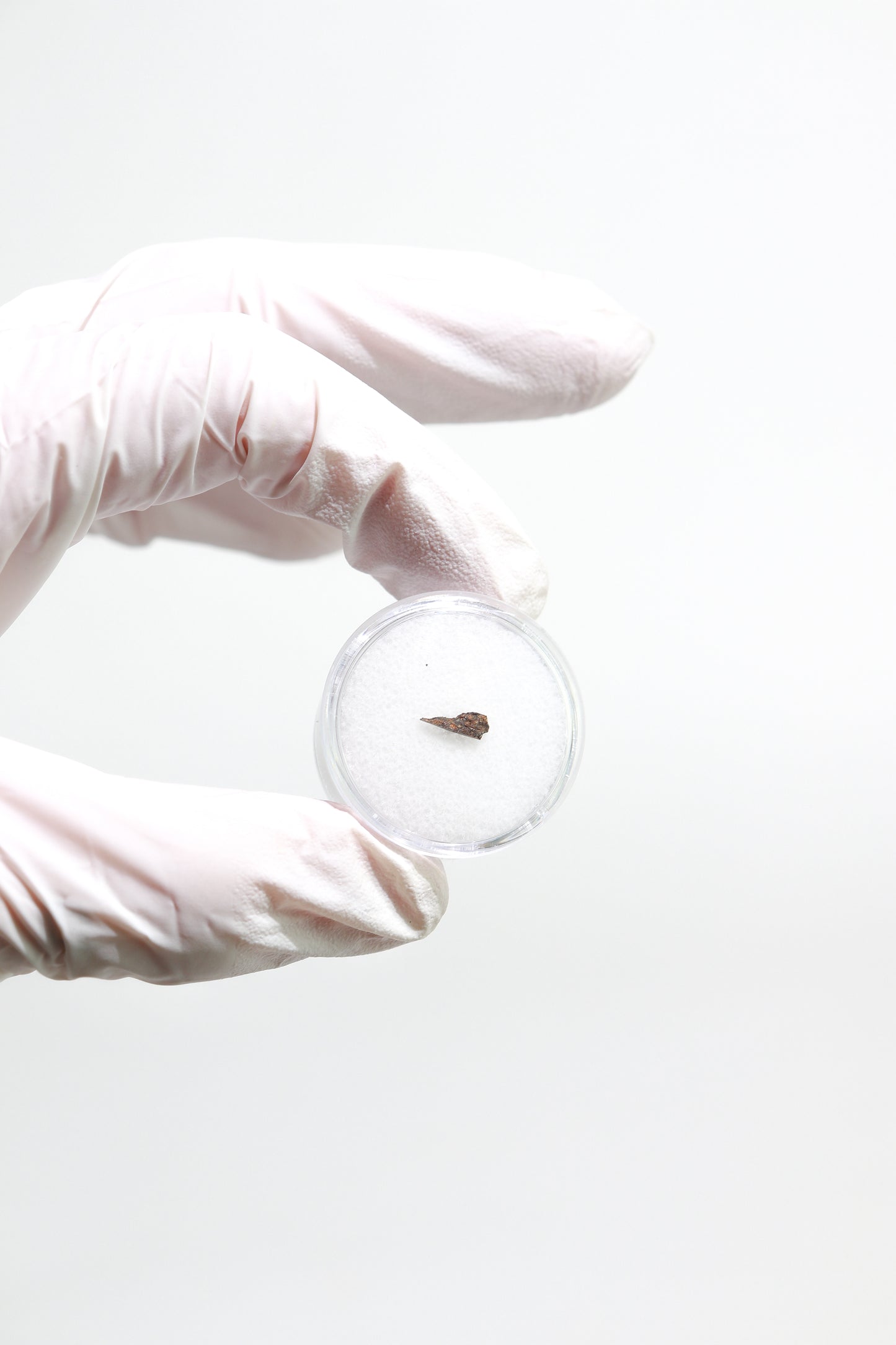 Meteorite Blind Bag: Cosmology Series 1 (Limited Run)