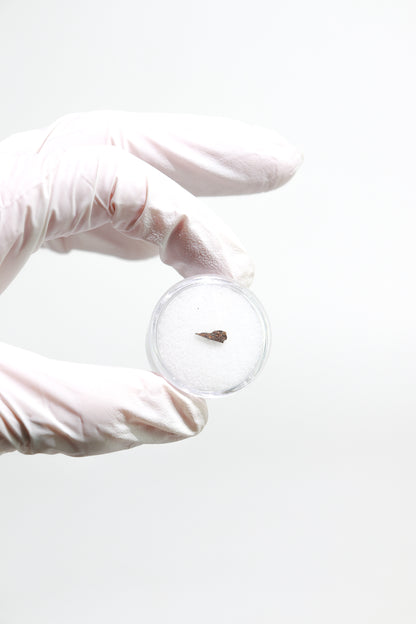 Meteorite Blind Bag: Cosmology Series 1 (Limited Run)