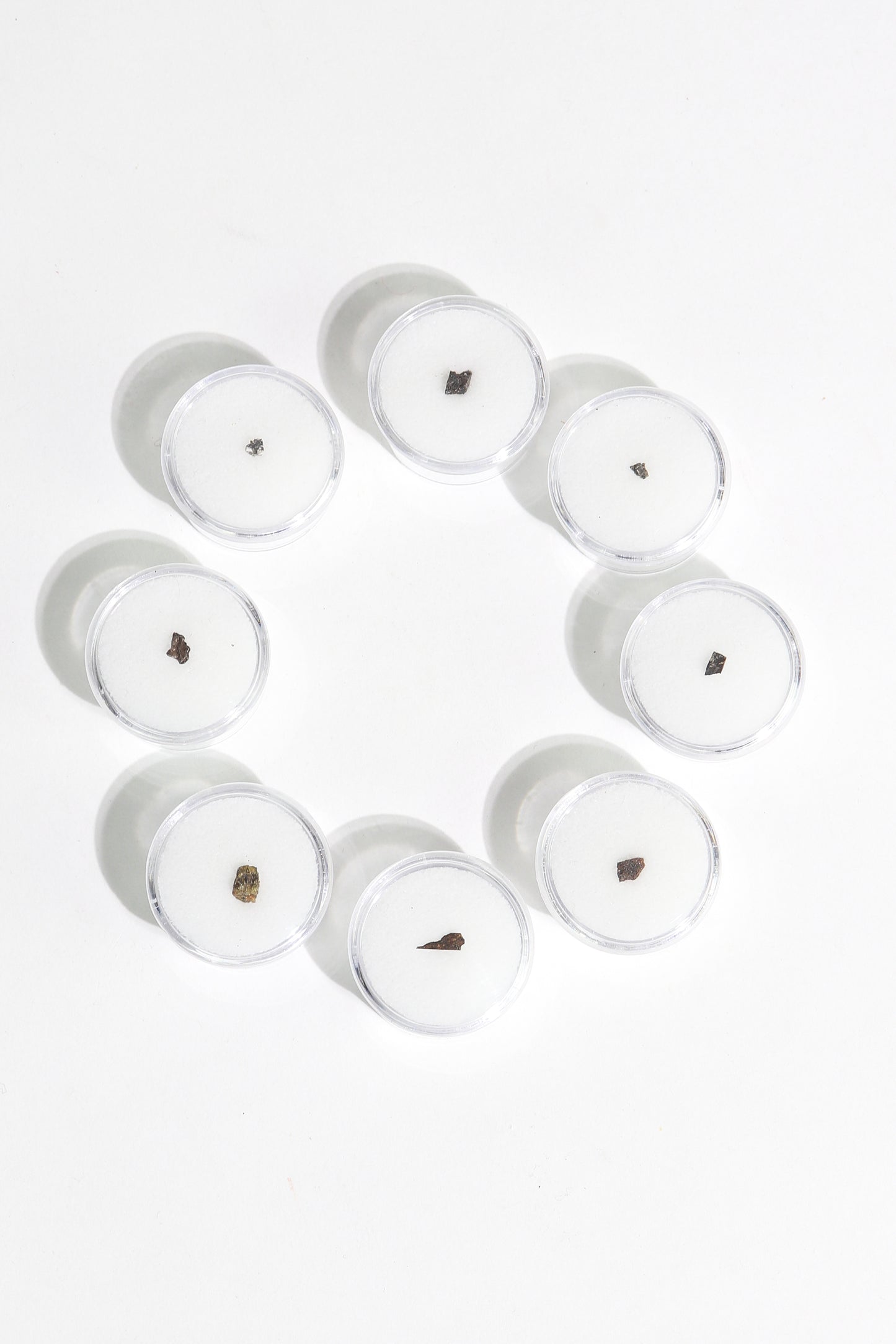 Meteorite Blind Bag: Cosmology Series 1 (Limited Run)