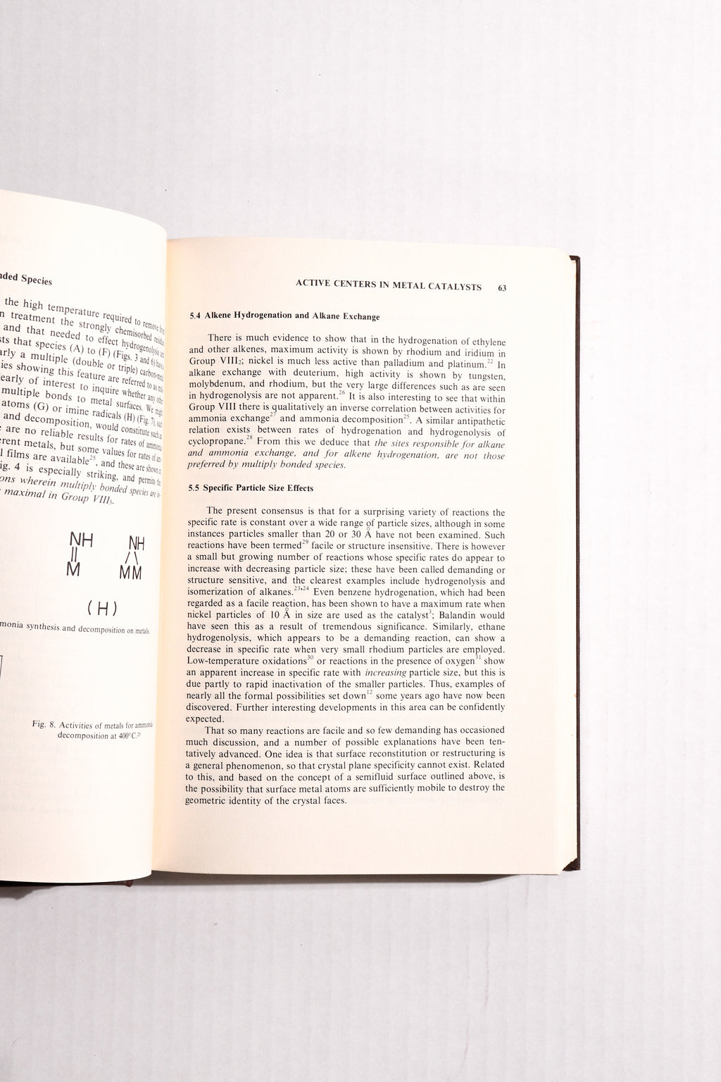 The Physical Basis for Heterogeneous Catalysis