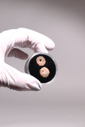 Stone Age Beads from the Sahara Desert