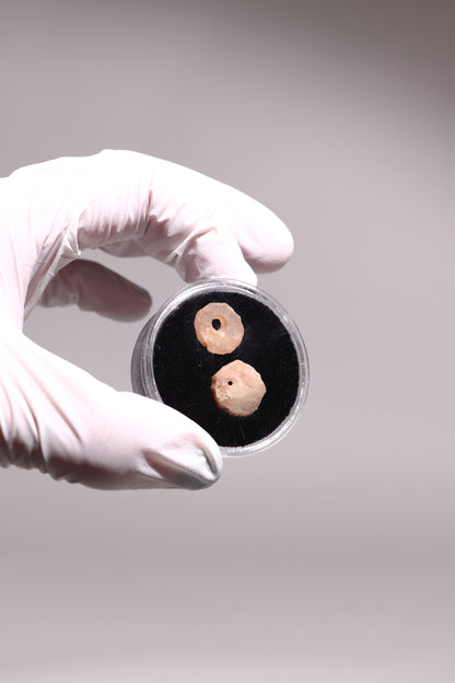 Stone Age Beads