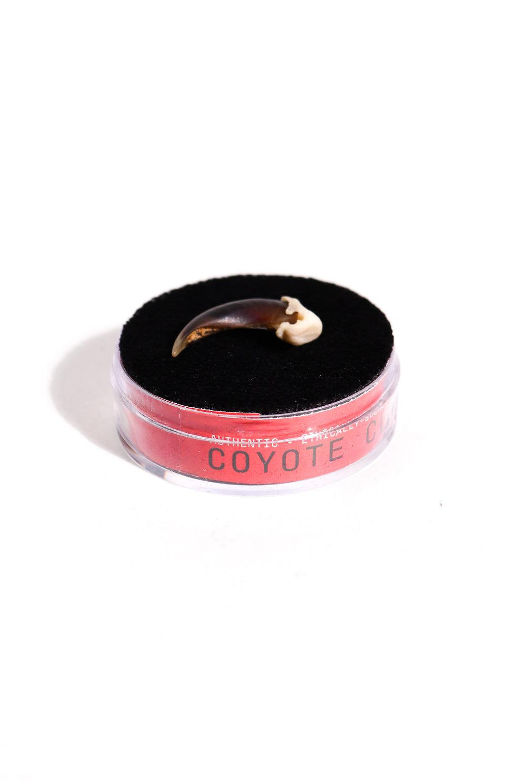 Coyote Claw