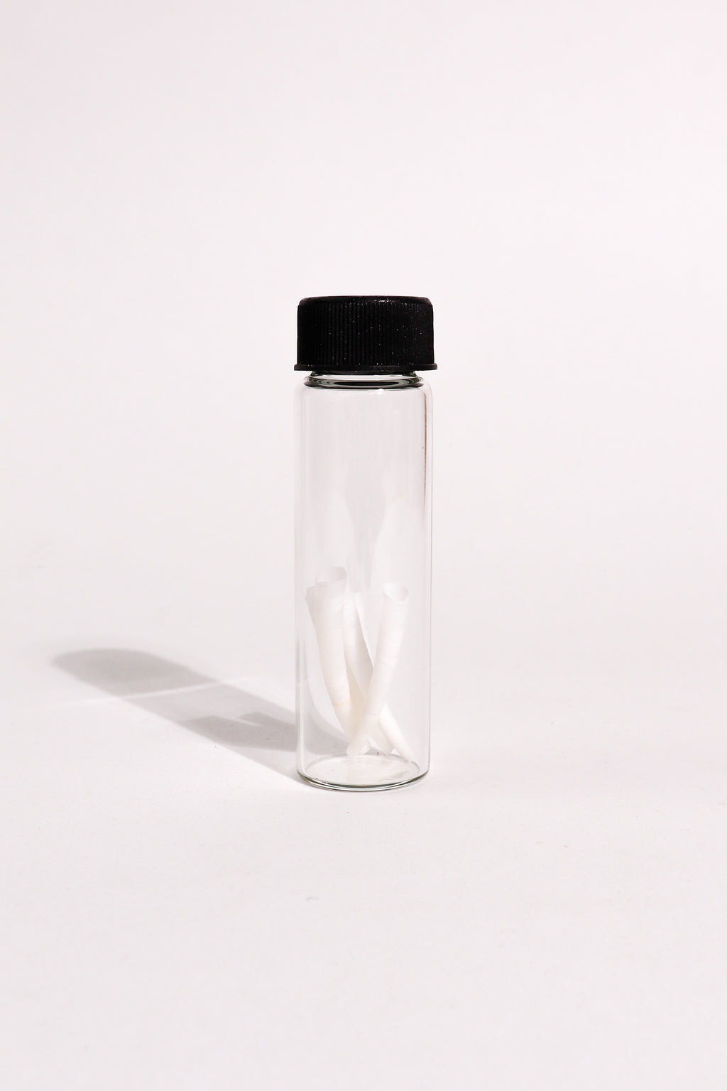 Tusk Shells (Dentalium Mollusk Shells)