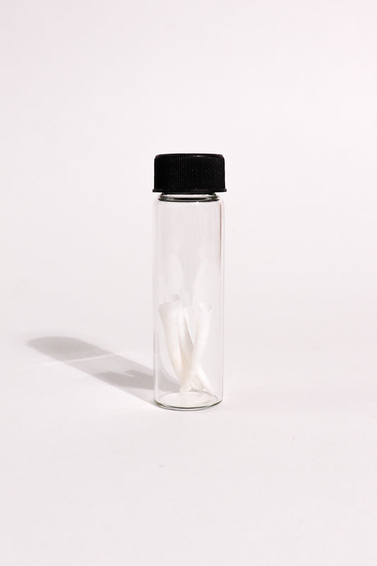 Tusk Shells (Dentalium Mollusk Shells)