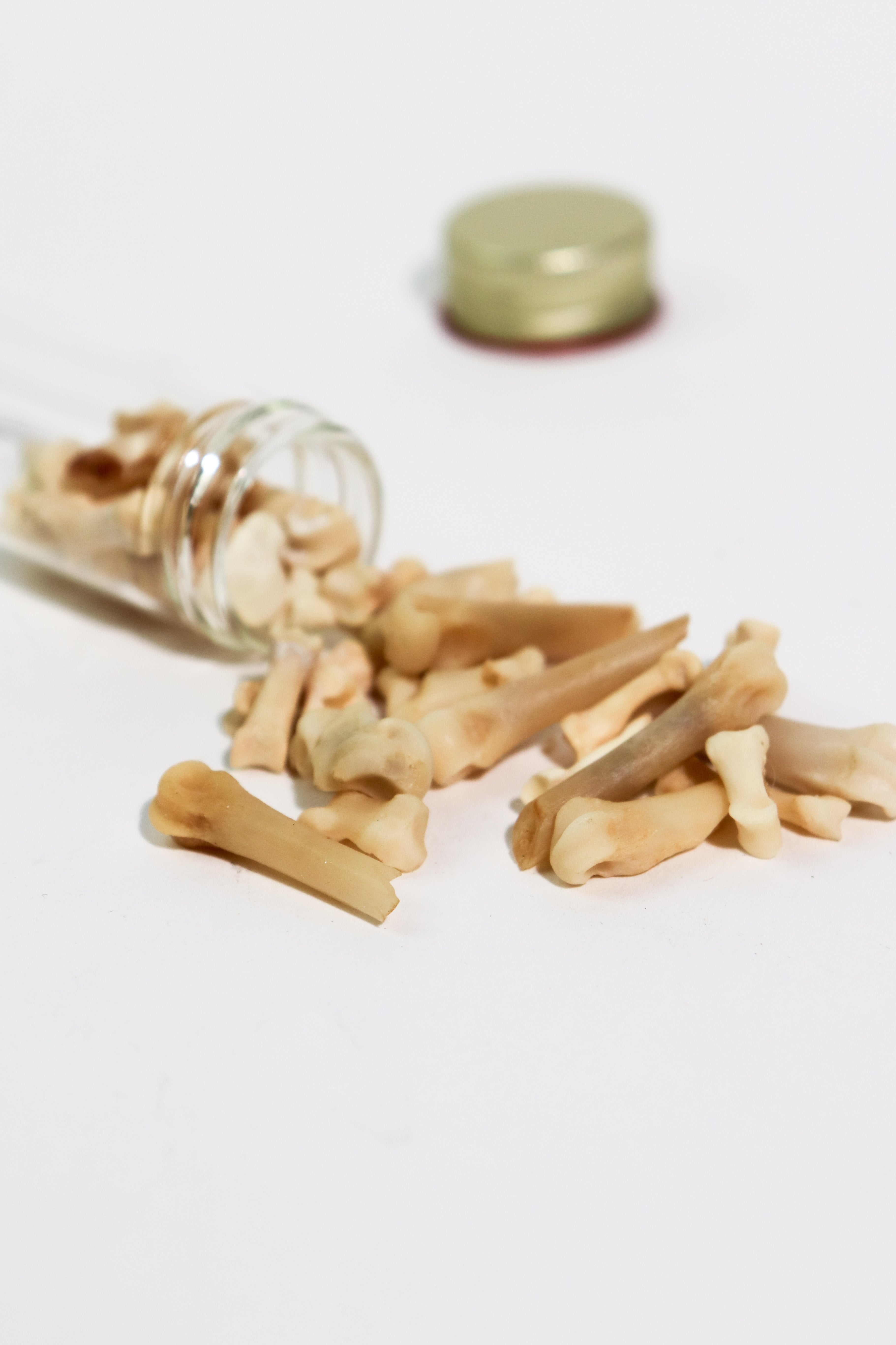 Bobcat Bones Vial