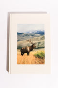 America’s Hidden Wilderness: Lands of Seclusion — National Geographic Society, First Edition (1988)