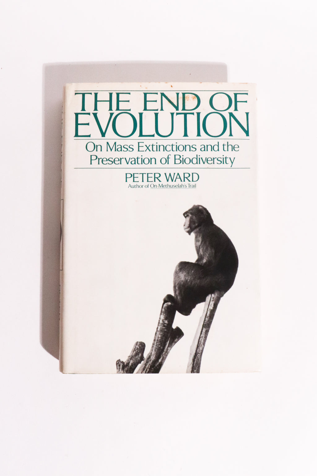 The End of Evolution: On Mass Extinctions and the Preservation of Biodiversity — Peter Ward, First Edition, First Printing (1994)