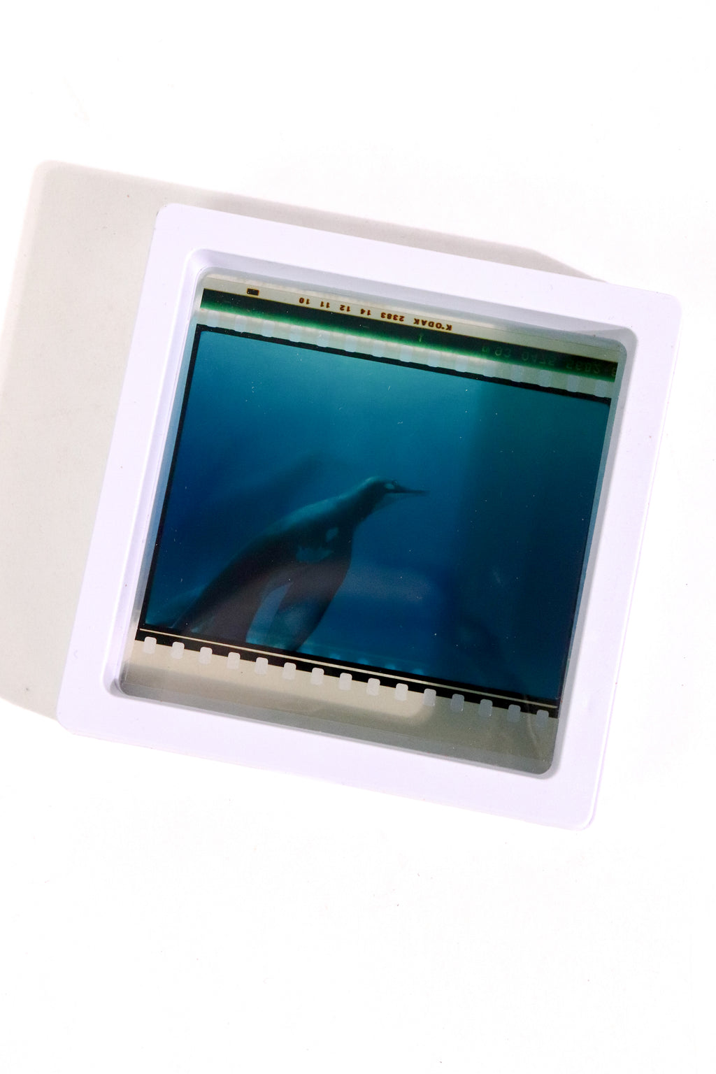 Authentic IMAX Film Cell – Framed 15/70 Cinema Frame