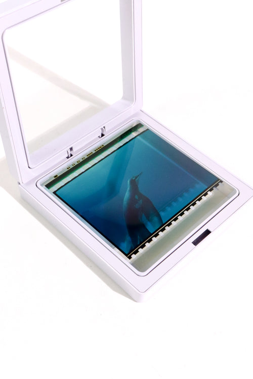 Authentic IMAX Film Cell – Framed 15/70 Cinema Frame