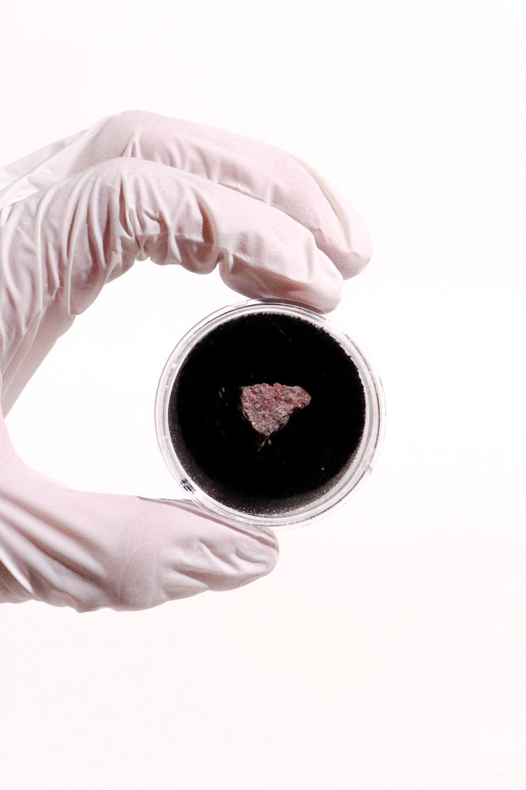 Suevite Impactite Fragment – Rochechouart Meteorite Impact Rock