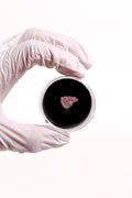 Suevite Impactite Fragment – Rochechouart Meteorite Impact Rock