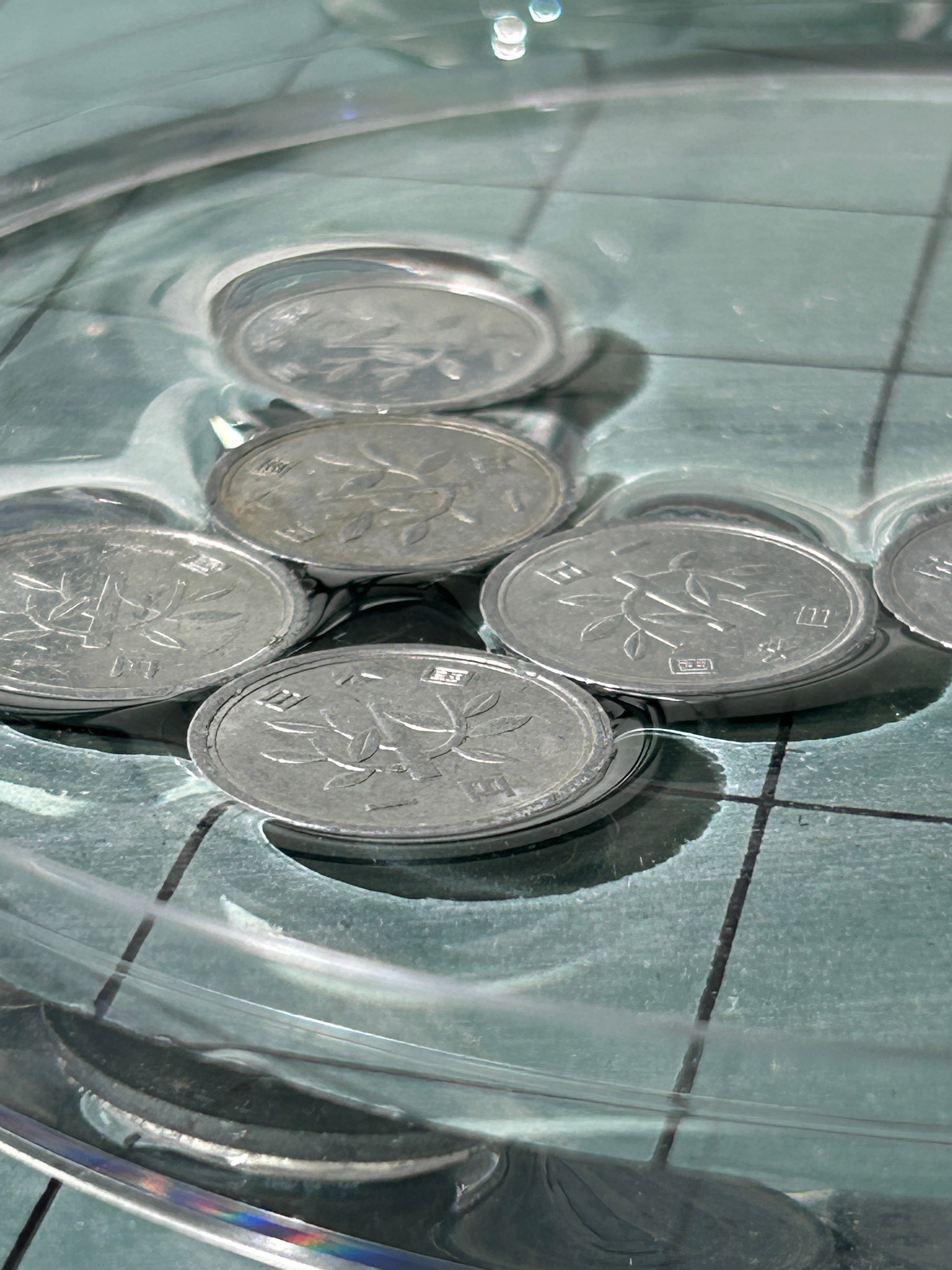Floating Coins - 3/pk, Default Title at Stemcell Science Shop