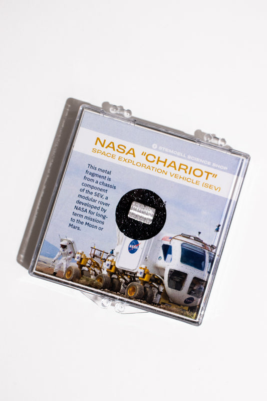 NASA "Chariot" Rover Fragment