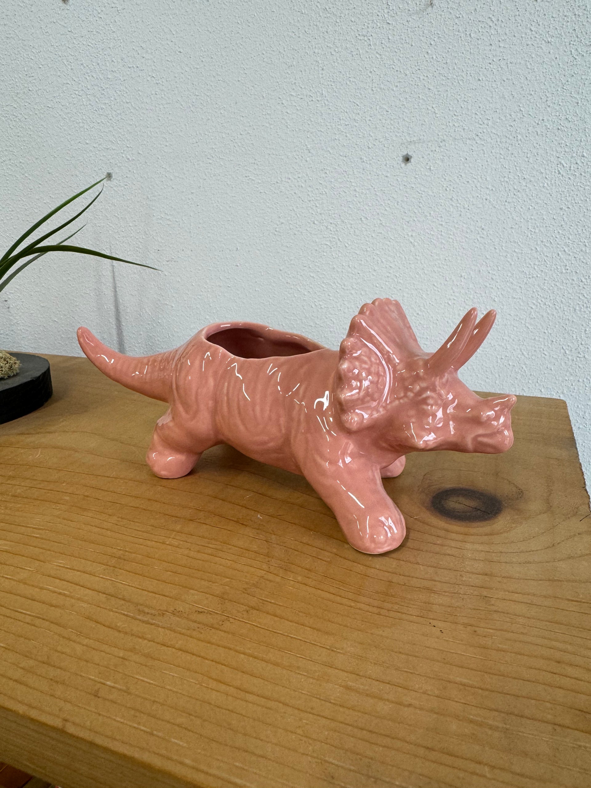 Pink Triceratops Dinosaur Planter