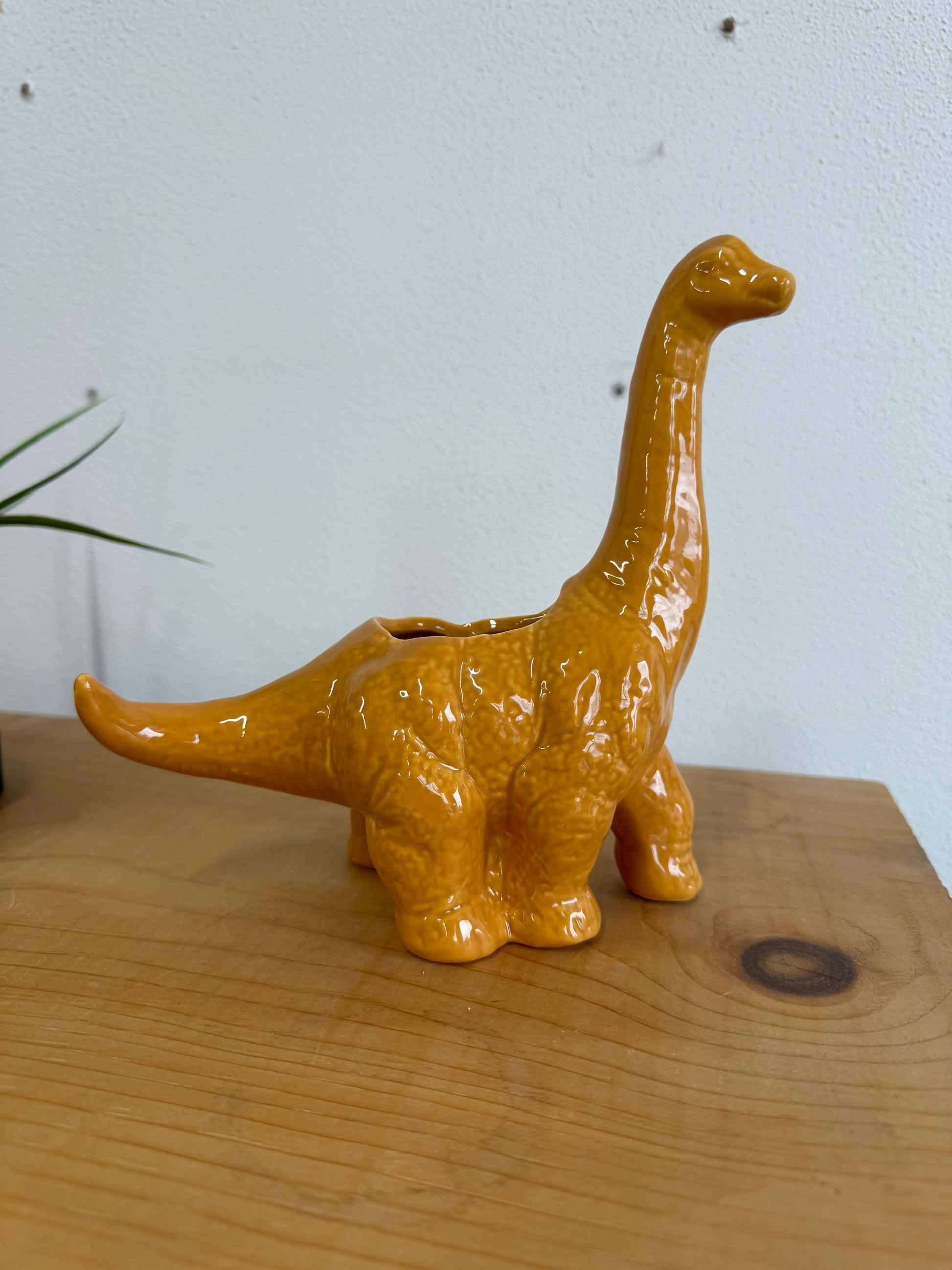 Mustard Dinosaur Diplodocus Planter - Stemcell Science Shop
