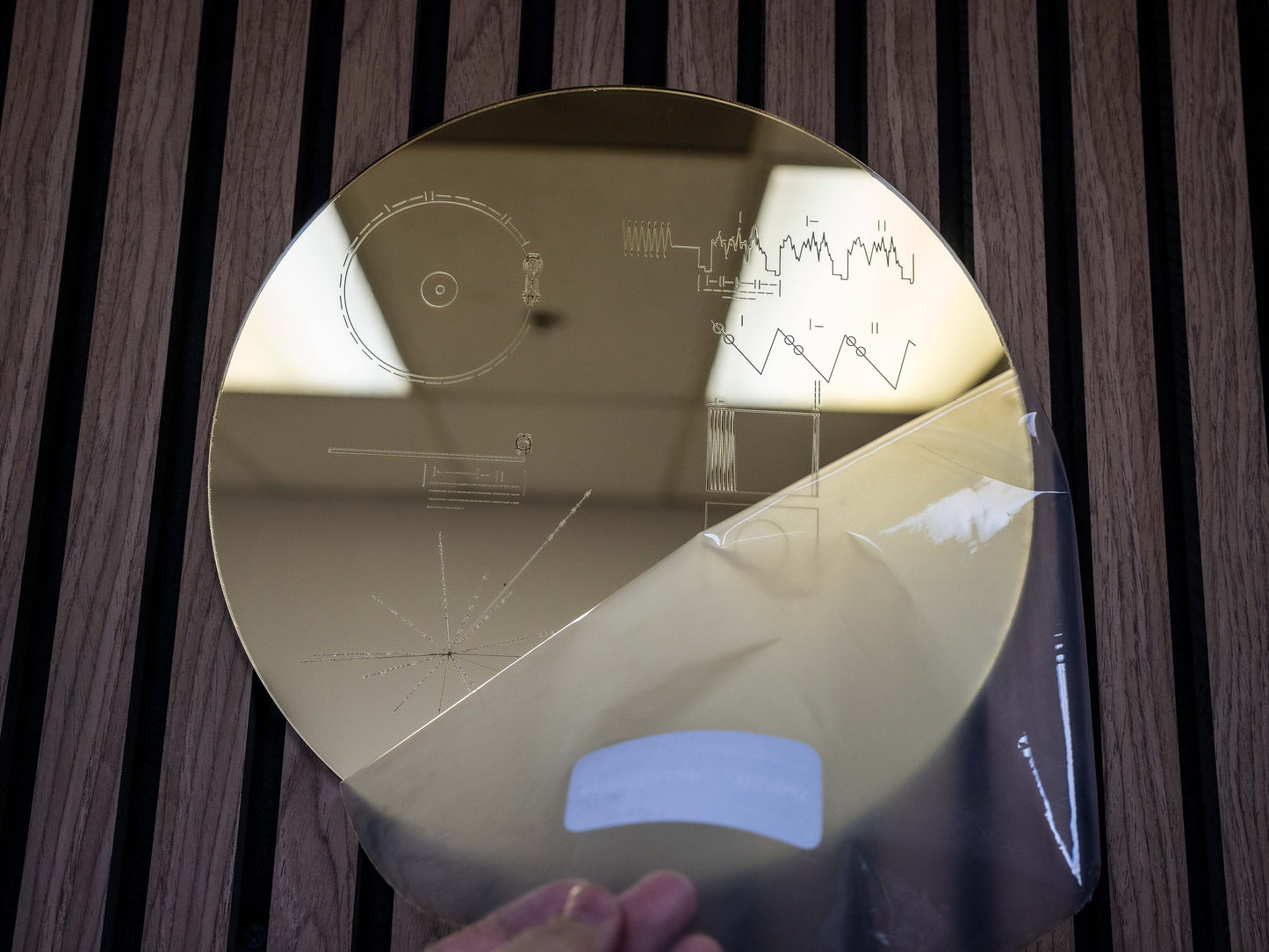 Voyager Golden Record Replica Wall Art