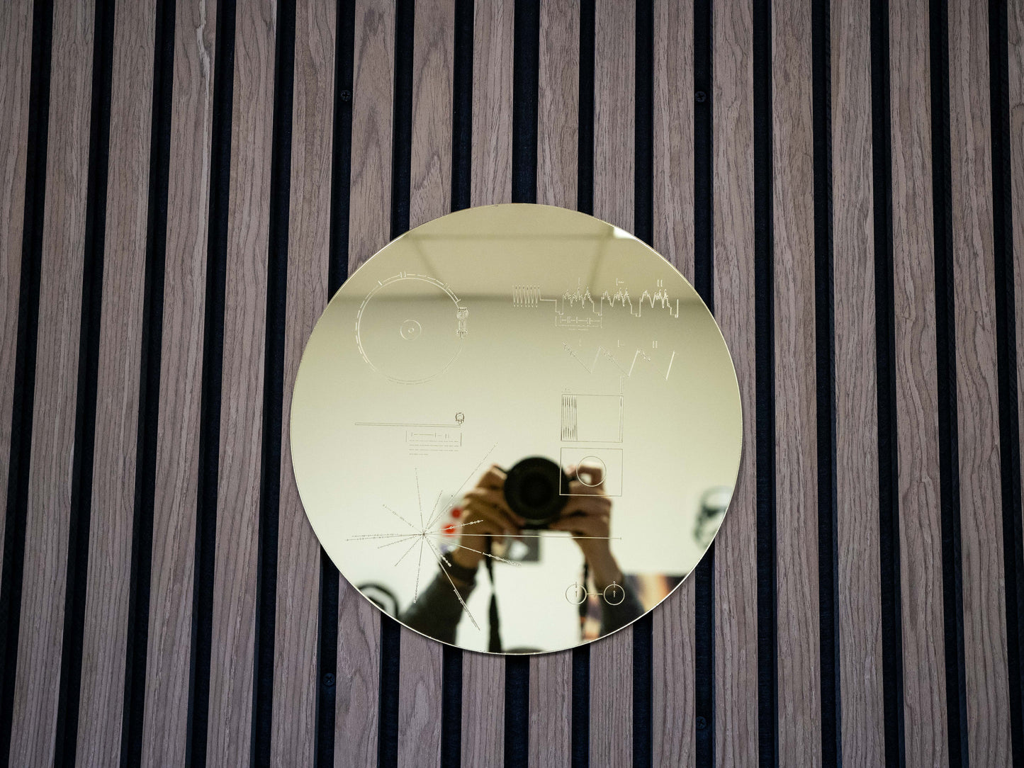 Voyager Golden Record Replica Wall Art