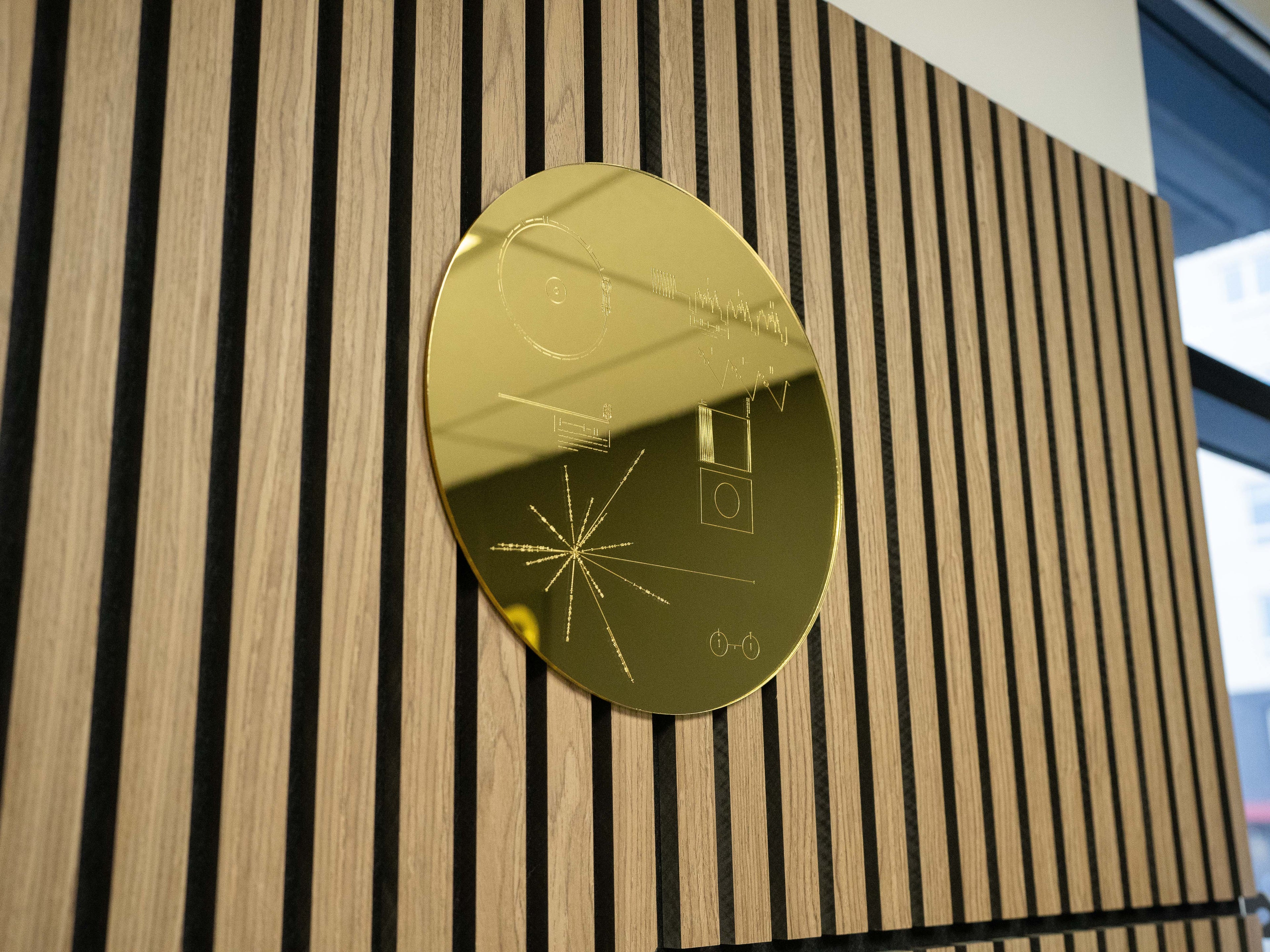 Voyager Golden Record Replica Wall Art