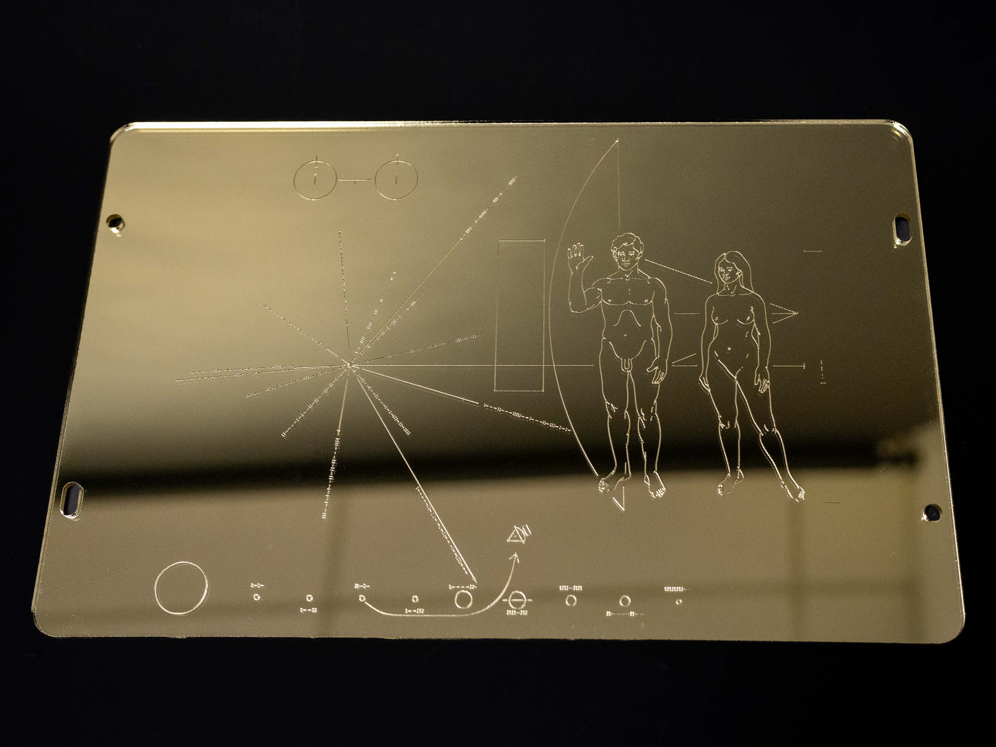 Pioneer Plaque Replica Wall Art