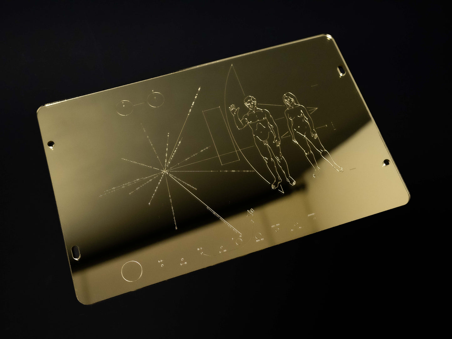 Pioneer Plaque Replica Wall Art