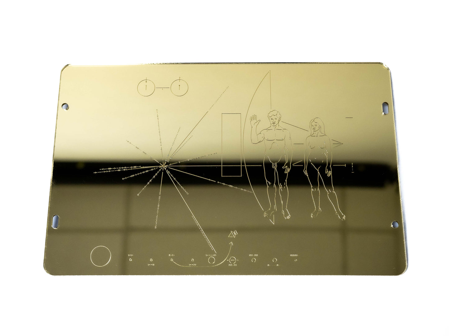 Pioneer Plaque Replica Wall Art