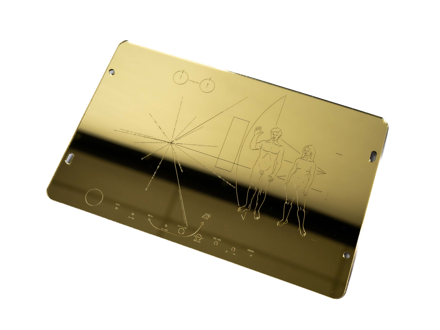 Pioneer Plaque Replica Wall Art