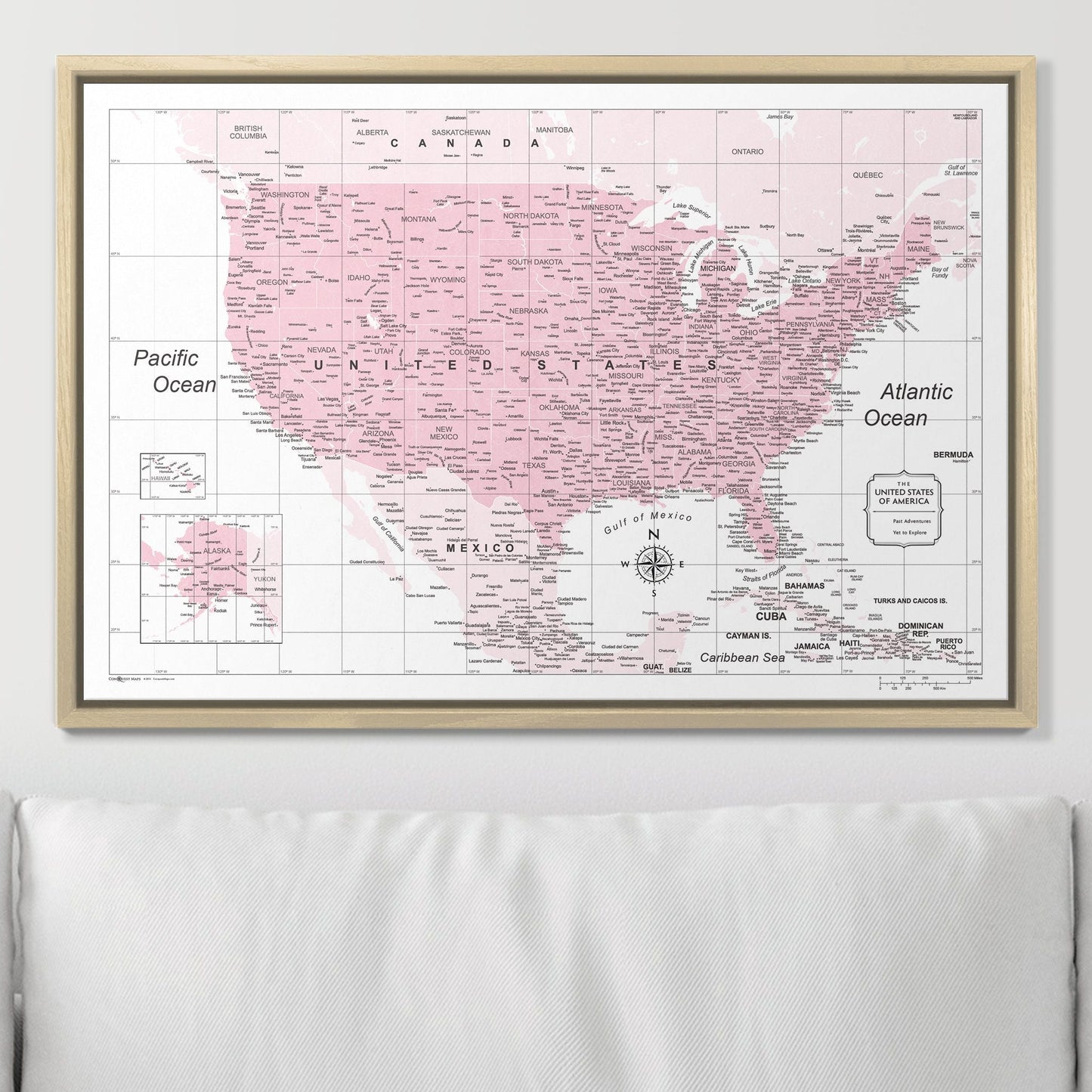 Push Pin USA Map: Pink (Pins Included)