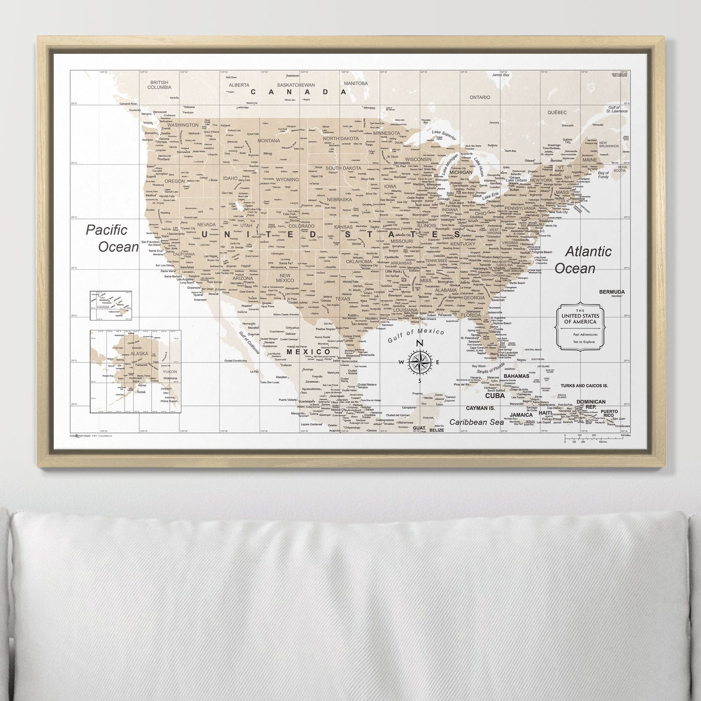 Push Pin USA Map: Light Brown (Pins Included)