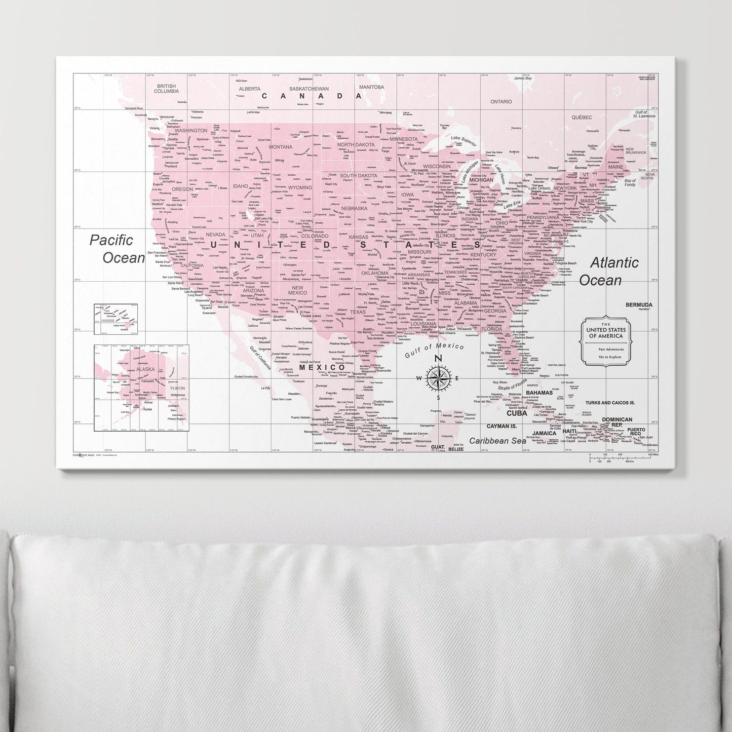 Push Pin USA Map: Pink (Pins Included)