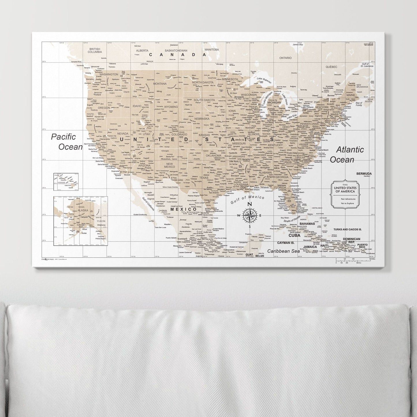 Push Pin USA Map: Light Brown (Pins Included)