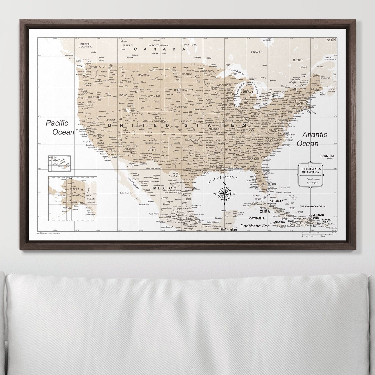 Push Pin USA Map: Light Brown (Pins Included)