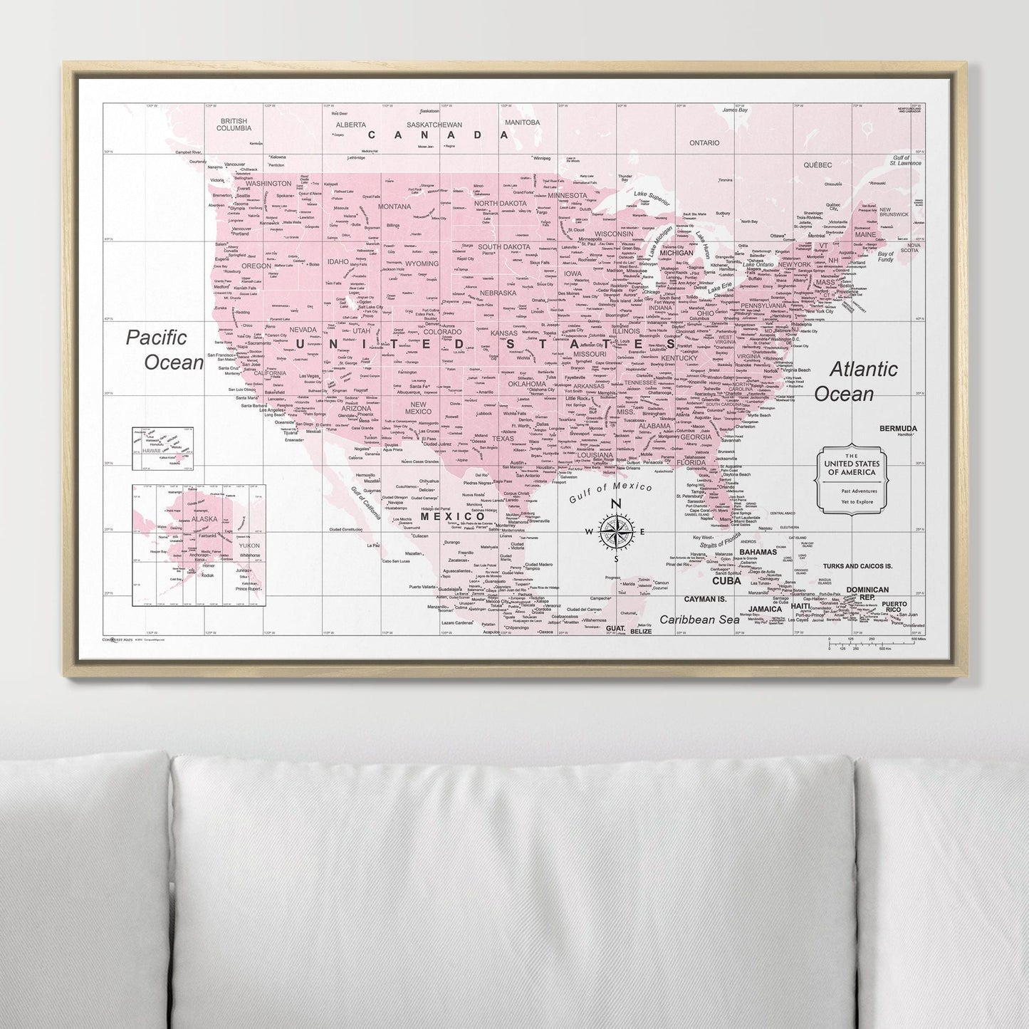 Push Pin USA Map: Pink (Pins Included)