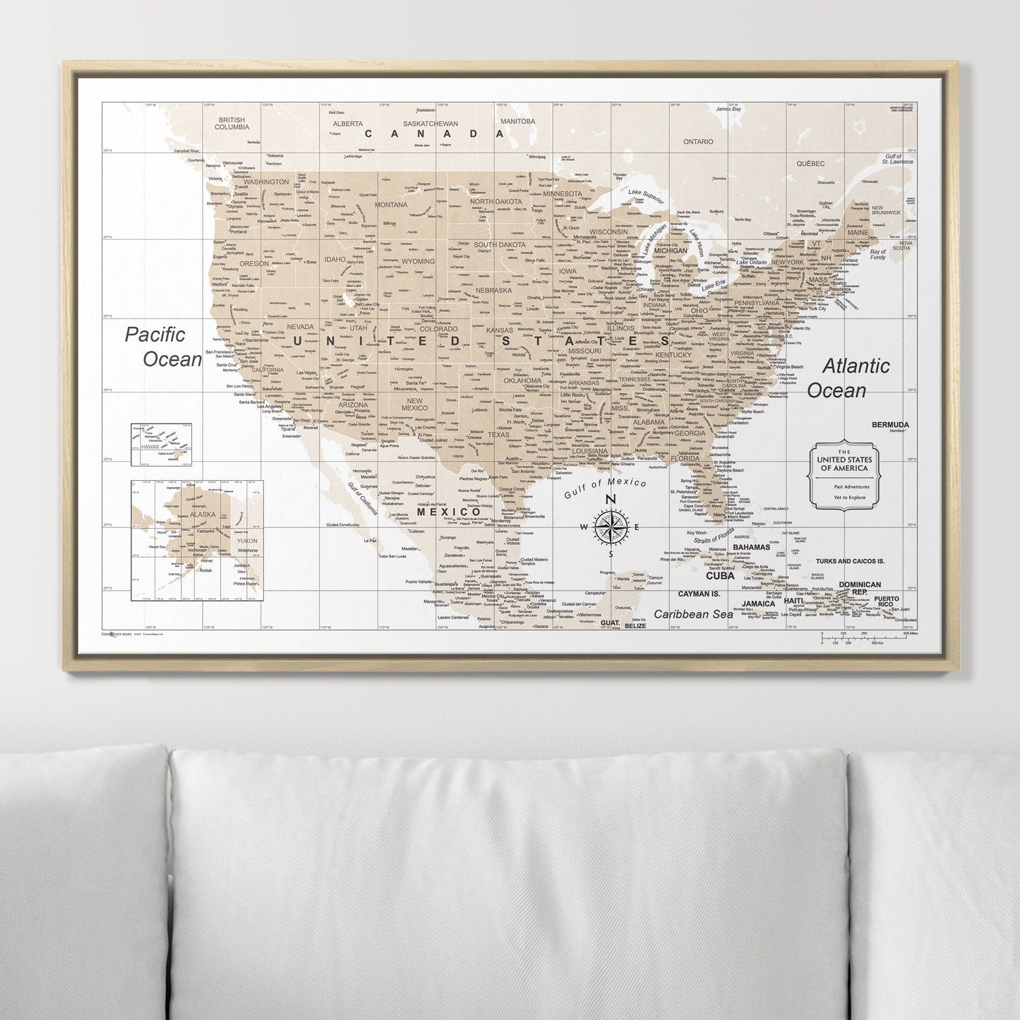 Push Pin USA Map: Light Brown (Pins Included)
