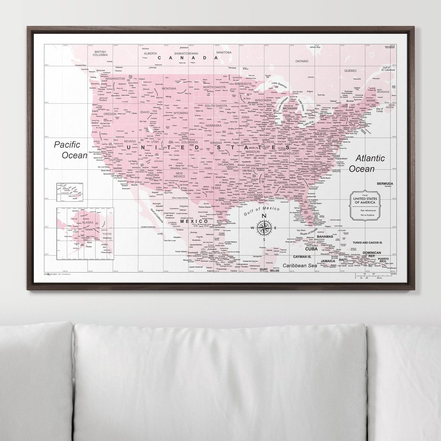 Push Pin USA Map: Pink (Pins Included)