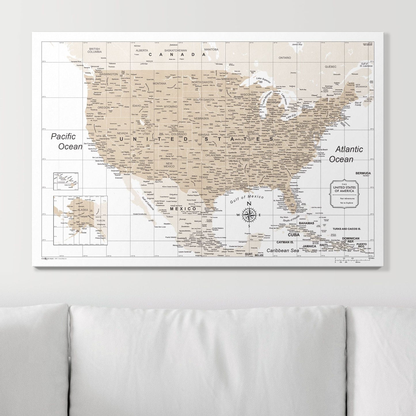 Push Pin USA Map: Light Brown (Pins Included)