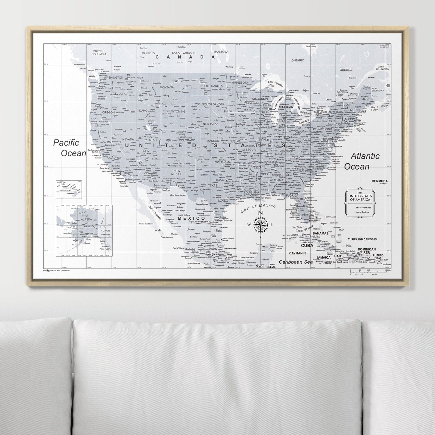 Push Pin USA Map: Light Grey (Pins Included)