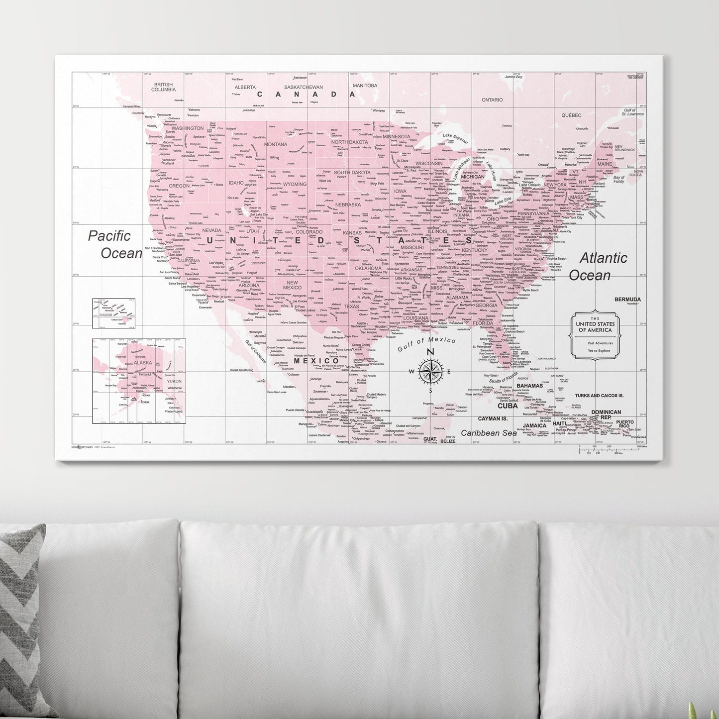Push Pin USA Map: Pink (Pins Included)