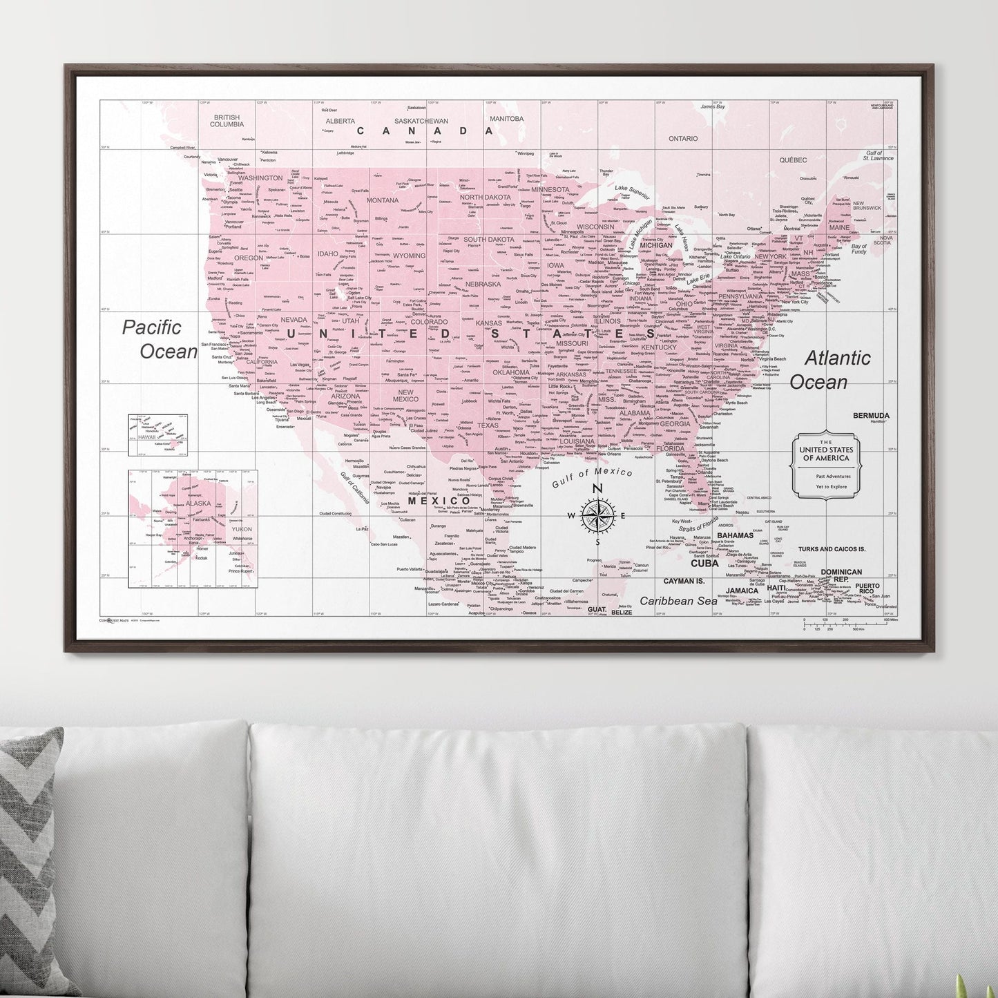 Push Pin USA Map: Pink (Pins Included)