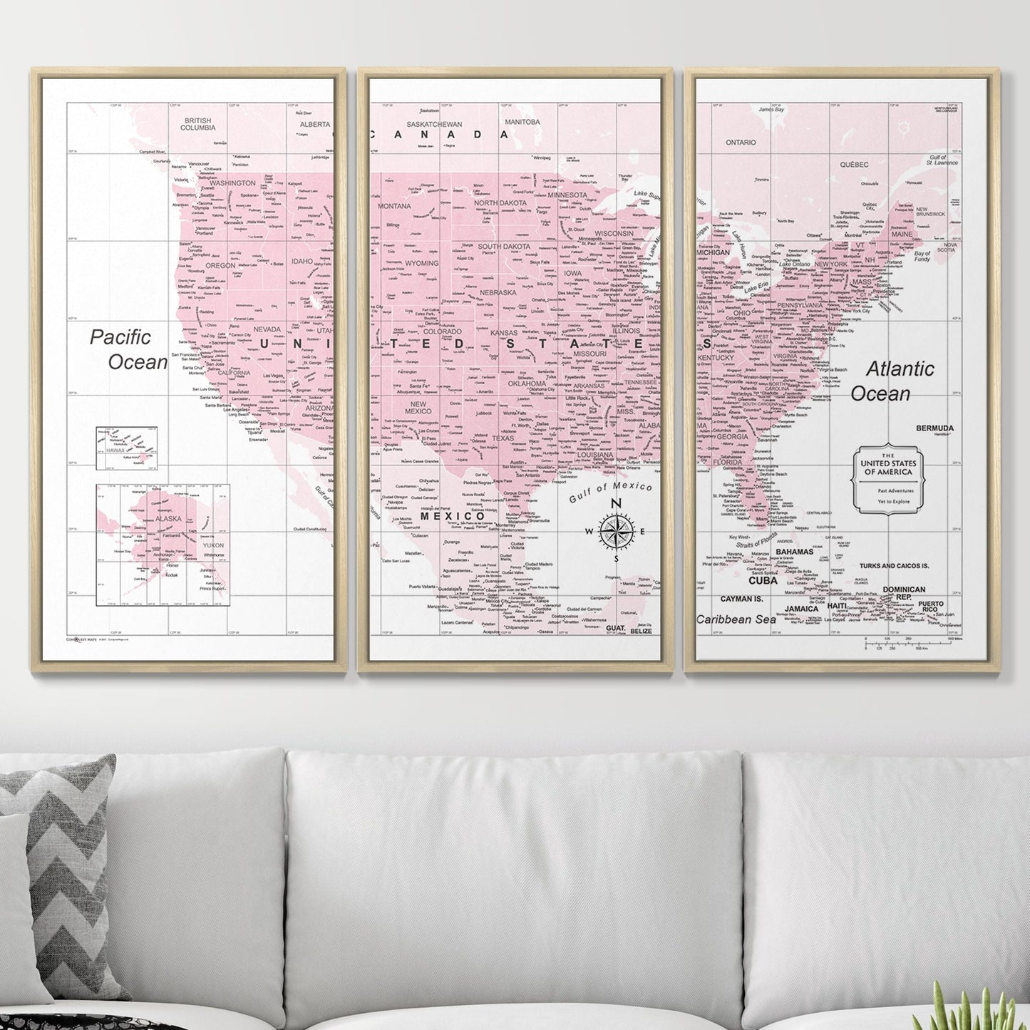 Push Pin USA Map: Pink (Pins Included)